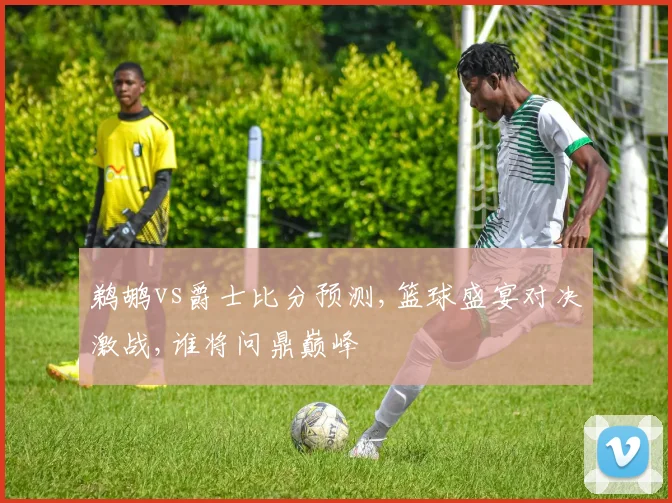 鹈鹕vs爵士比分预测,篮球盛宴对决激战,谁将问鼎巅峰