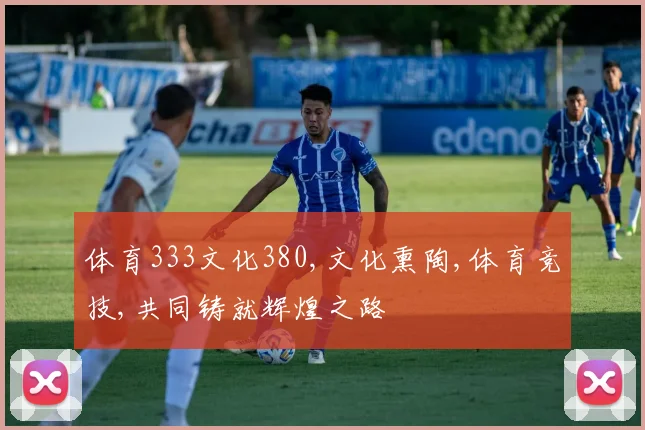 体育333文化380,文化熏陶,体育竞技,共同铸就辉煌之路
