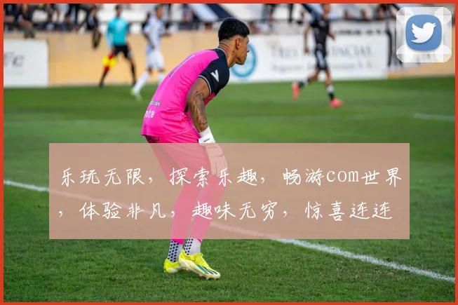乐玩无限，探索乐趣，畅游com世界，体验非凡，趣味无穷，惊喜连连，快乐不停歇。