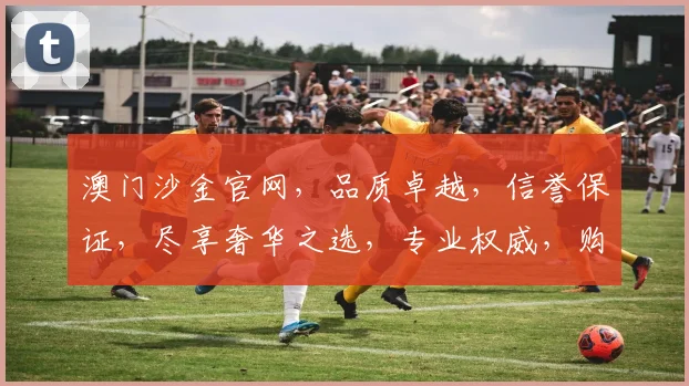 澳门沙金官网，品质卓越，信誉保证，尽享奢华之选，专业权威，购物首选