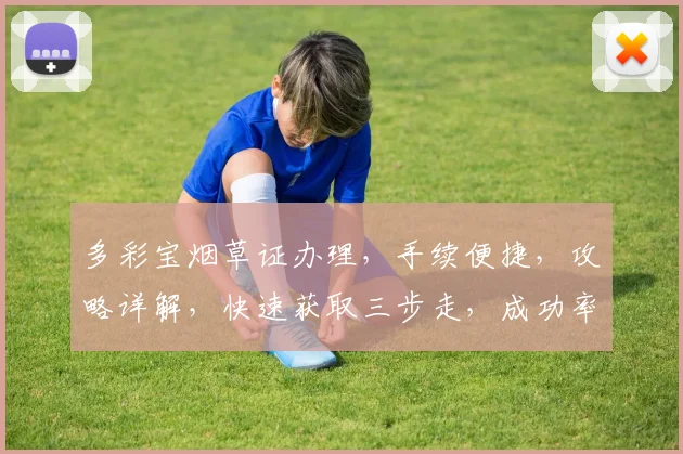 多彩宝烟草证办理，手续便捷，攻略详解，快速获取三步走，成功率高
