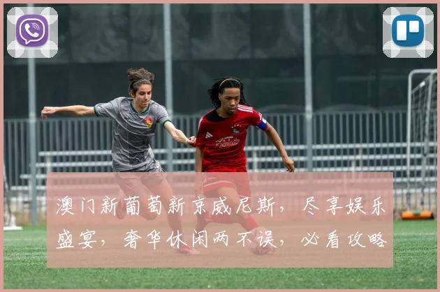澳门新葡萄新京威尼斯，尽享娱乐盛宴，奢华休闲两不误，必看攻略，不容错过